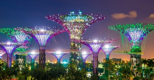 新加坡滨海湾花园超级树 - 新加坡旅游景点